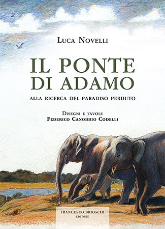 Il Ponte di Adamo