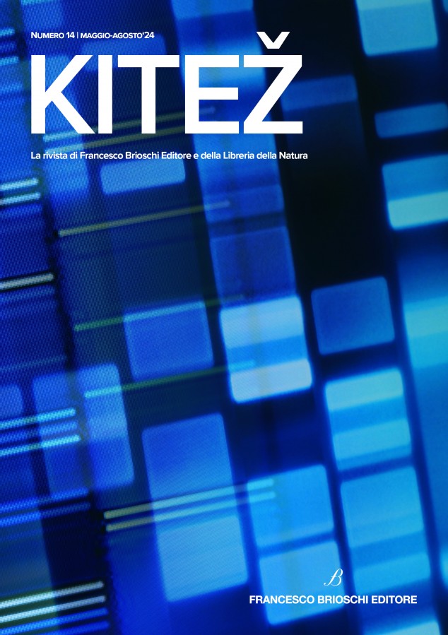 Kitež #14
