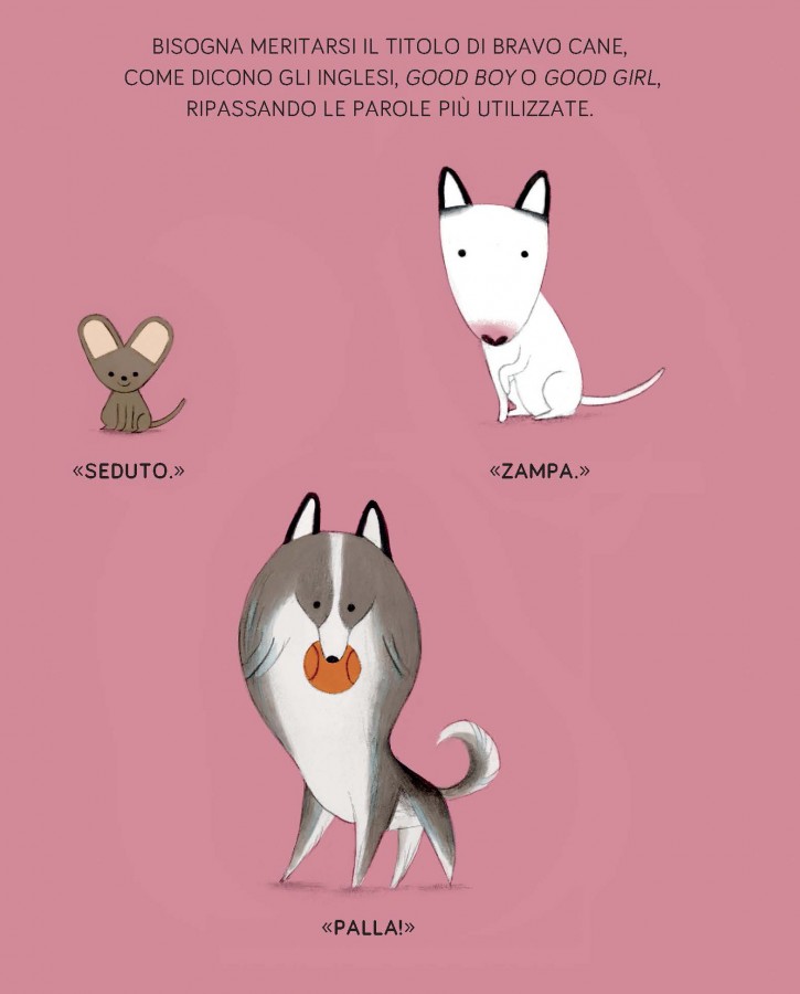 L'allenamento segreto dei cani