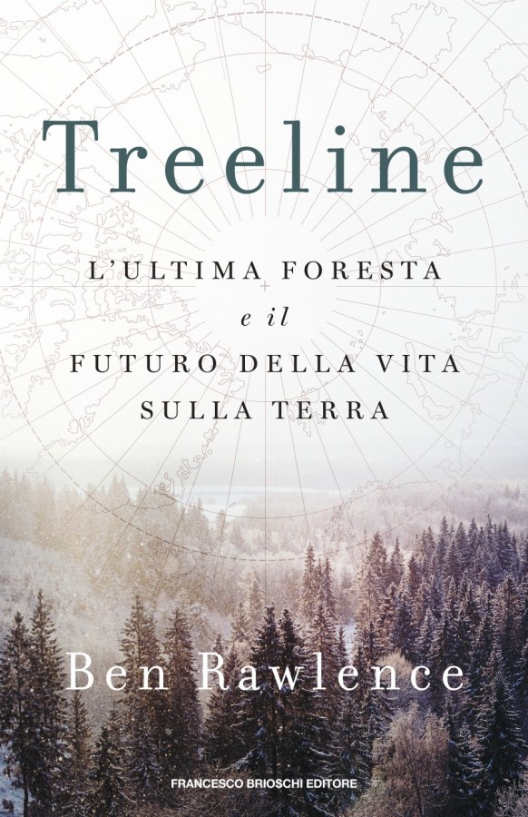 Treeline